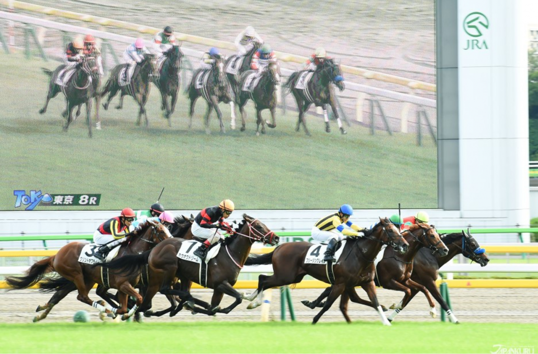 Japan's Largest Racecourse 🐴 in Japanese Horse Racing 🏇 - JAPANKURU Let ...