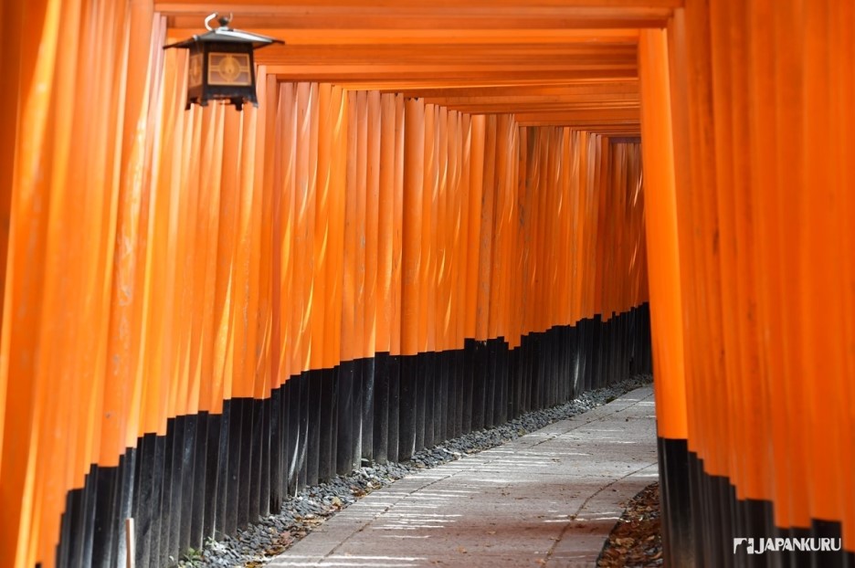 Tunnel de Torii