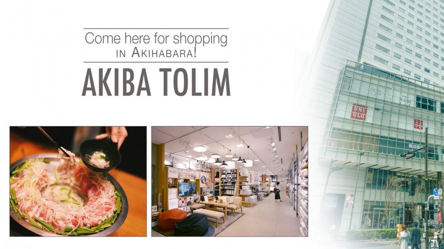 AKIBA TOLIM | Un Centre Commercial au Coeur du Quartier d’Akihabara