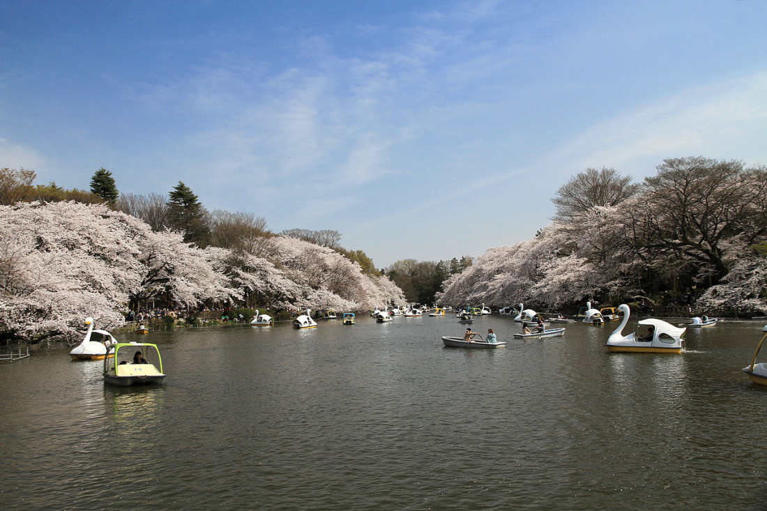 只想住在吉祥寺嗎 吉祥寺周邊散策大公開 Japankuru Japankuru 最道地的日本旅遊資訊網站