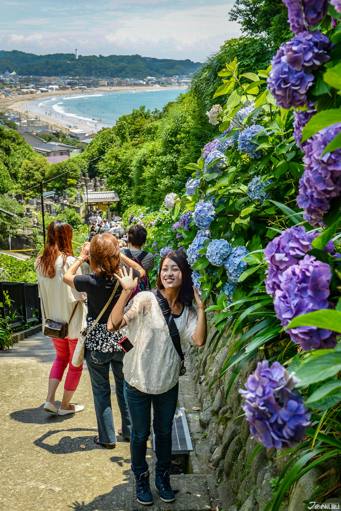 Japan S Island Of Hydrangeas The 5 Best Places To See The Flowers Of Enoshima Island Kamakura Japankuru Japankuru Let S Share Our Japanese Stories