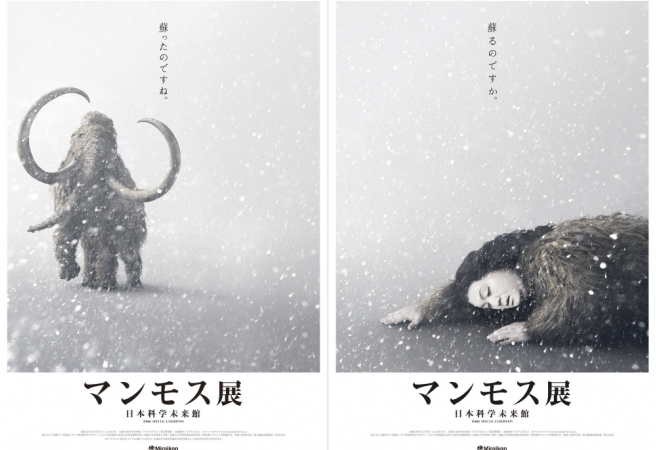 以猛玛象为首的,一系列近年发现的古生物冷冻标本,将在东京的日本科学未来馆首次问世。近年来由于全球暖化的影响,约在一万年前灭绝的猛玛象冷冻标本,在俄罗斯联邦沙巴共和国的冻土中被发现。不同于化石,冷冻的猛玛象标本鲜活而真实。而除了猛玛象之外,还有各式各样珍贵的古生物标本展出,以及世界各国共同研究的「猛玛象复活计画」中的最先进生命科学技术。