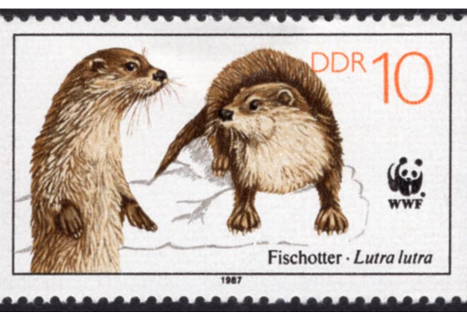 "Rabbits! River Otters! Hedgehogs!?" Stamp Art Exhibit