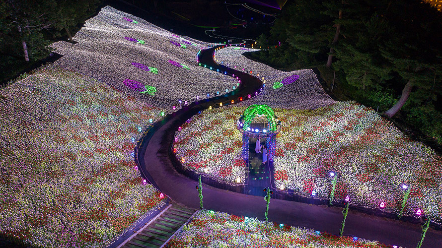 Champs de tournesols et spectacle de lumières: APA Resort Joetsu-Myoko à Niigata vous en...