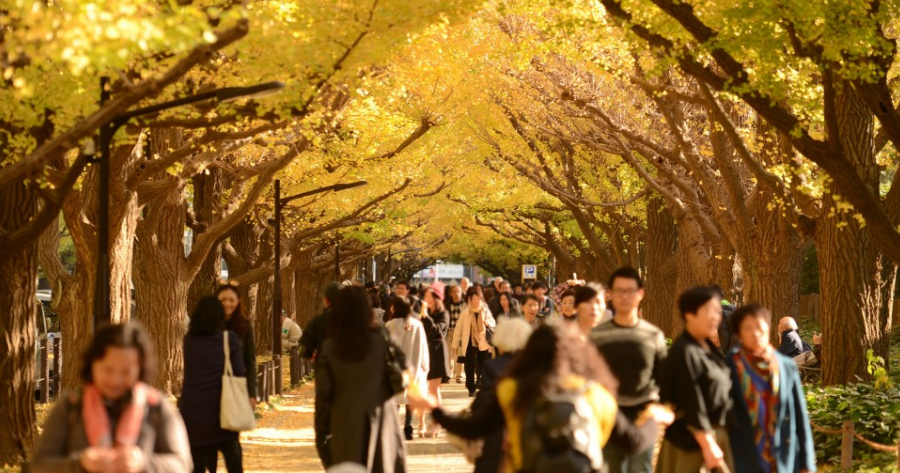 19年5個日本必去的紅葉聖地 Japankuru Japankuru 最道地的日本旅遊資訊網站