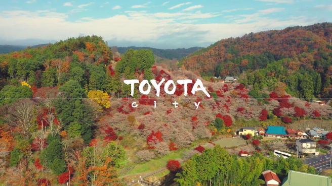 Finding the Fall-Blooming Cherry Blossoms and Brilliant Red Maples of Toyota City