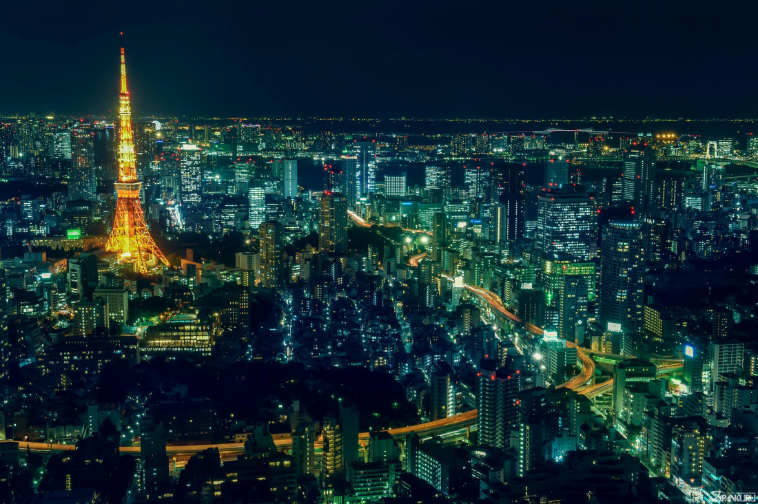 東京 タワー 何 メートル