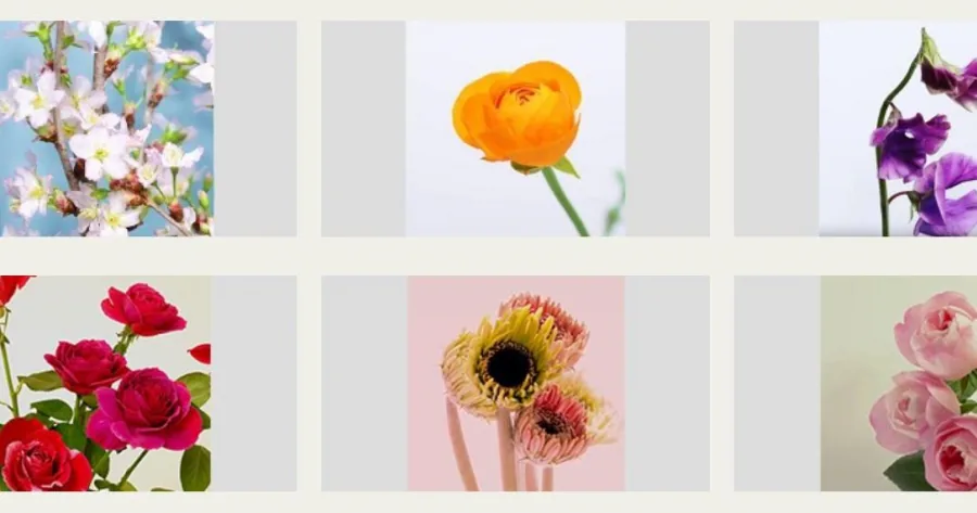 Enjoy Japan S Cherry Blossoms Other Flowers From Home This Year Japankuru Japankuru Let S Share Our Japanese Stories