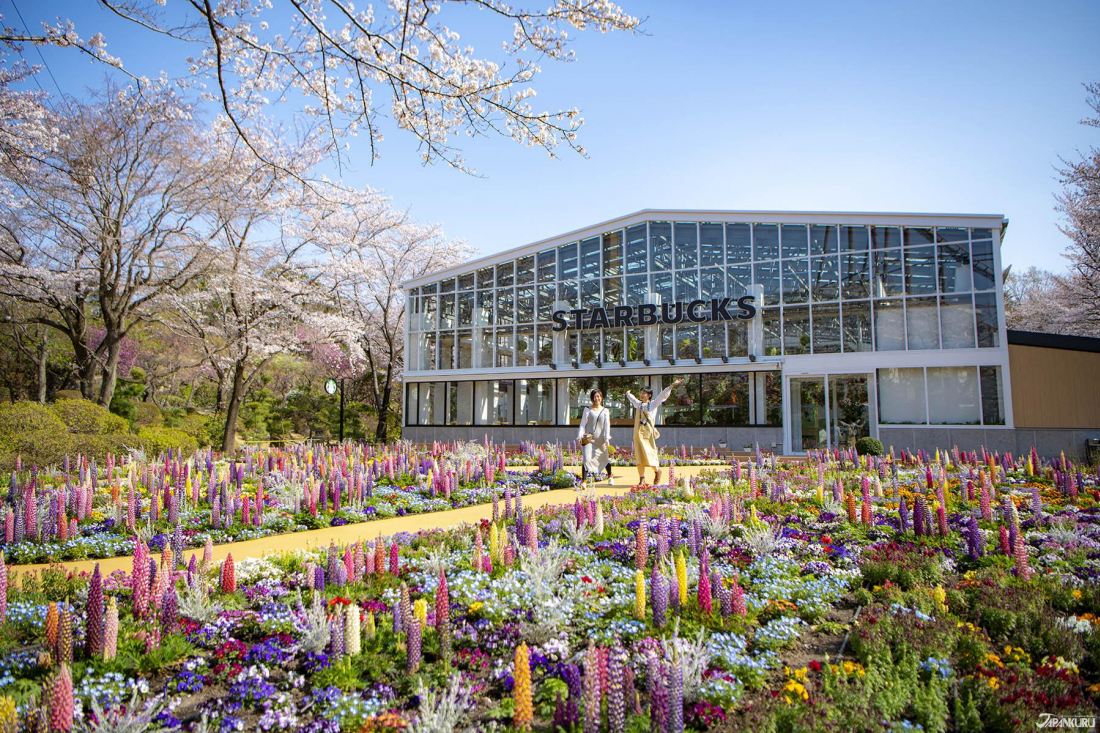 絕美花室星巴克 讀賣樂園hana Biyori數位娛樂型植物園東京賞櫻名所再進化 輕旅行