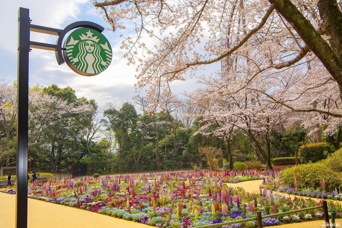 絕美花室星巴克 讀賣樂園hana Biyori數位娛樂型植物園東京賞櫻名所再進化 輕旅行