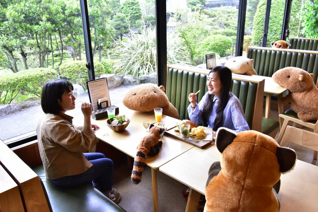 後疫情時代小確幸 日本貓星人 水豚和小熊貓出動勿忘保持安全社交距離 Japankuru Japankuru 最道地的日本旅遊資訊網站
