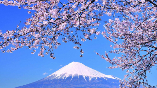 Go Central Japan: Shoryudo ・ A Look at Japan's Dragon Route