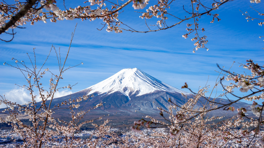 史上首次大規模封山  富士山垃圾危機有救了？