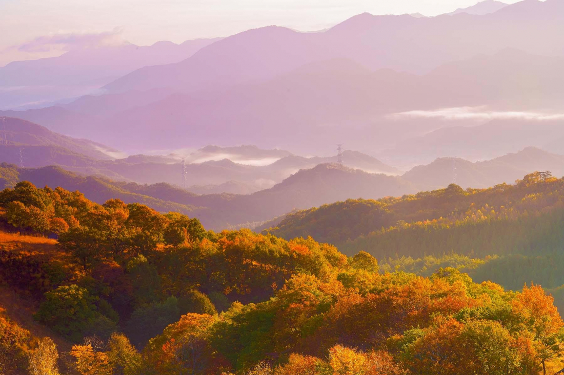 ,日本,福島,南會津,四季花卉,鐵道,公園,