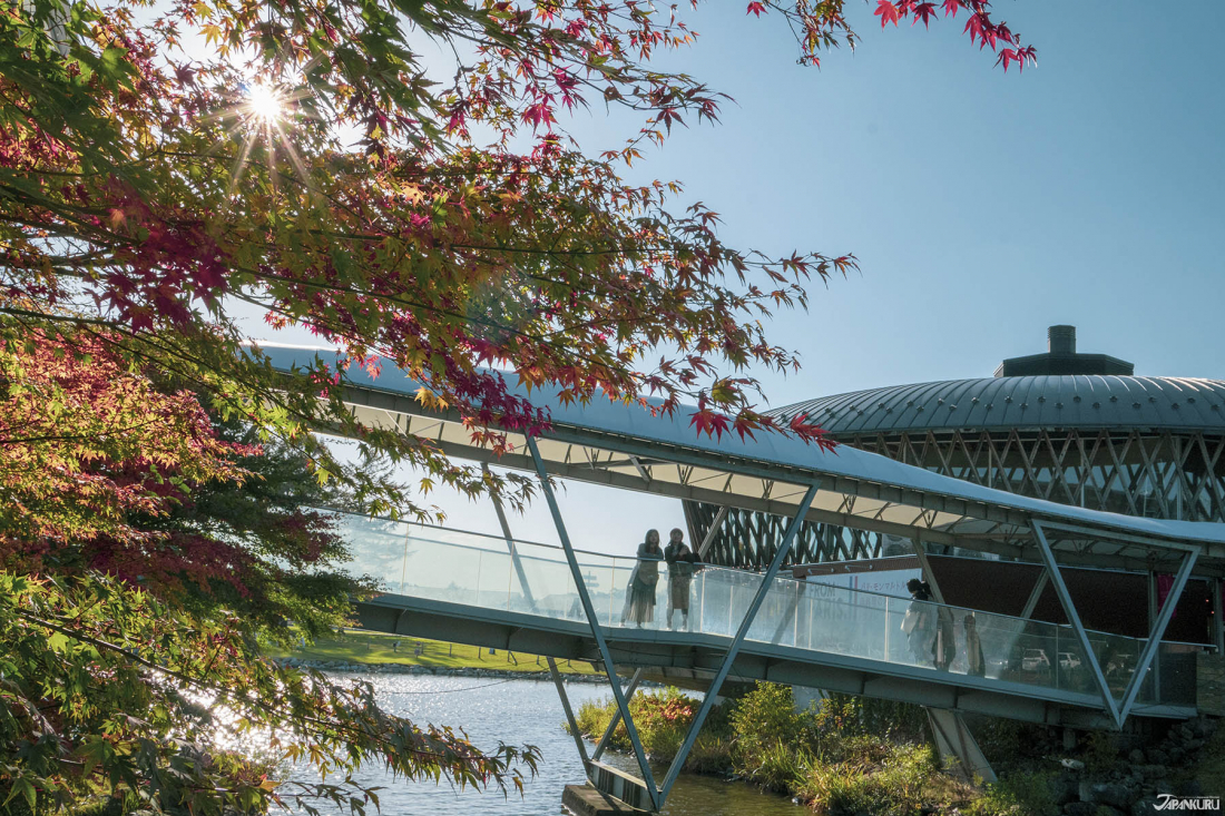 What Is “Koyo”? Japan’s Most Important Autumn Tradition – HYPER JAPAN