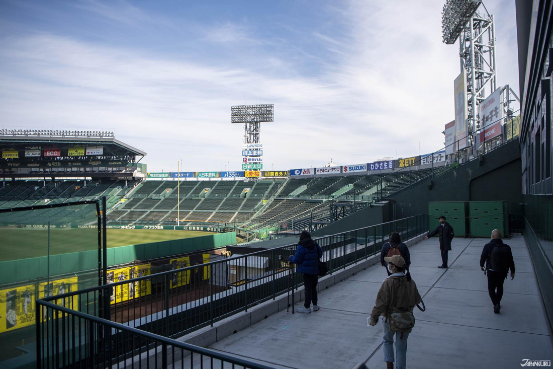 Experience the Thrill of a Hanshin Tigers Game at Koshien Stadium