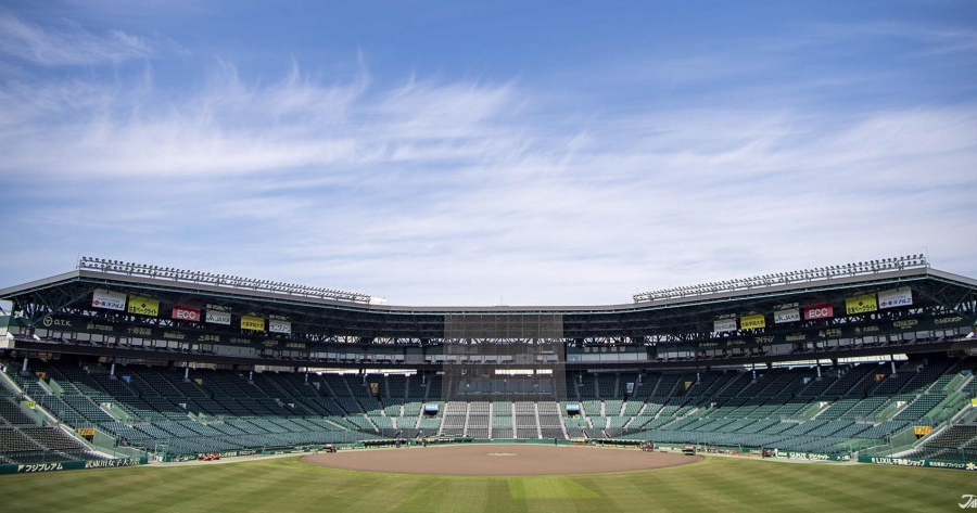 Official Retro Japan Hanshin Tigers Baseball Fan Club Summer Light Jersey  Green in 2023