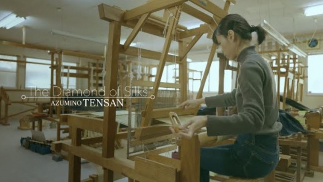 All About Azumino Tensan, Japan's Green Wild Silk ・ Azumino Tensan ・ 4min