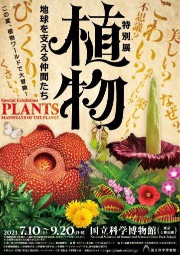นิทรรศการพิเศษ PLANTS MAINSTAYS OF THE PLANET (โตเกียว)