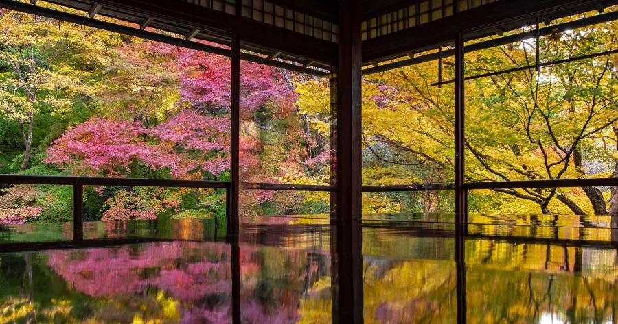 日本人氣賞楓景點之京都琉璃光院夢幻紅葉倒影名景的秘密 Japankuru Japankuru 最道地的日本旅遊資訊網站