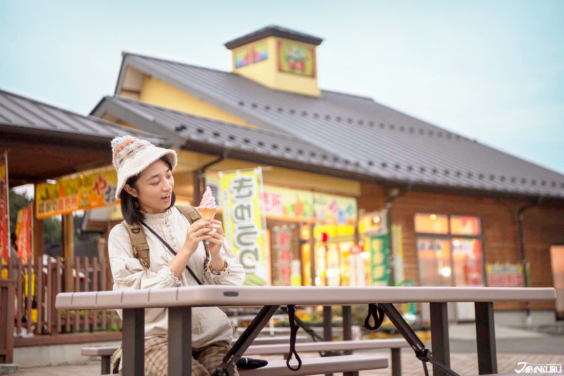 What Is a Michi-no-Eki? - 3 of Japan's Best Highway Rest Stop “Road  Stations” - HYPER JAPAN