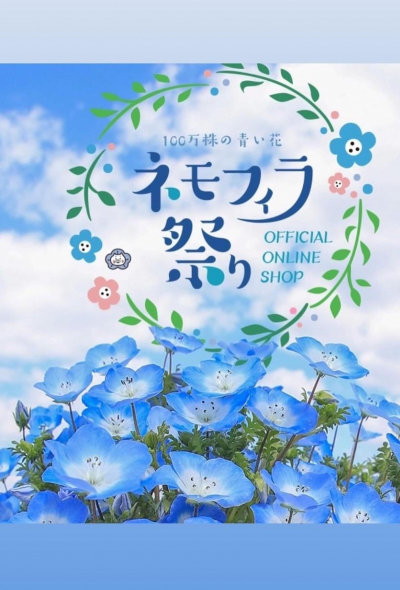【大阪】2024舞洲粉蝶花祭