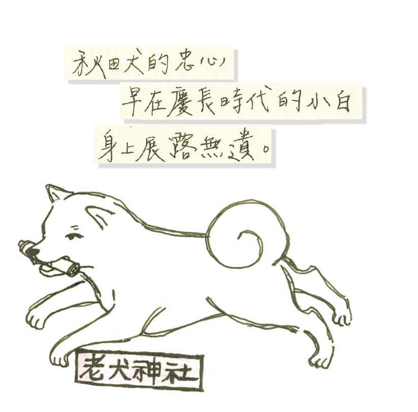 狗奴才犬迷日本必訪 走訪忠犬小八故鄉 秋田大館 旅遊 聯合新聞網