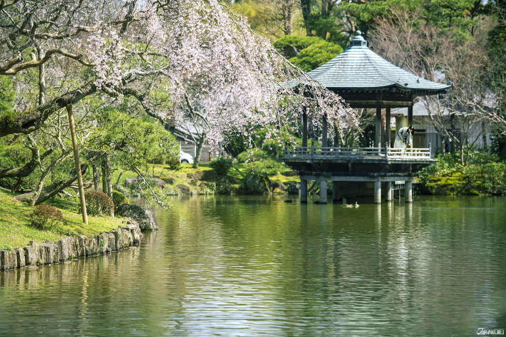 成田機場周邊觀光！參拜聖地「成田山新勝寺」 踏青勿忘大啖鰻魚飯