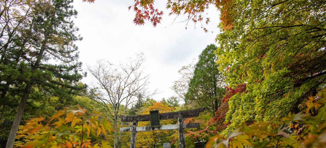 日本關東賞楓紅葉秘境景點  栃木古峯神社與古峯園