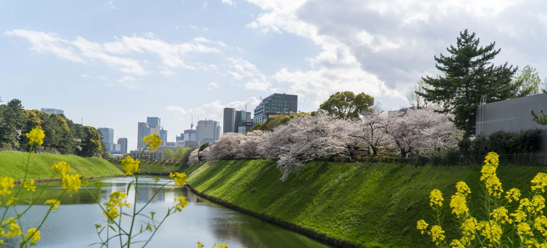 東京都內JR沿線賞櫻景點推薦 從櫻花名所到私房景點任你選