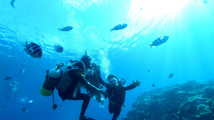 Scuba Diving in the Okinawa Blue Cave with Marine Support TIDE ZANPA!!