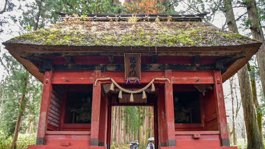 Togakushi Shrine: The Shrine of The Hidden Door, and Beautiful Wooded Paths