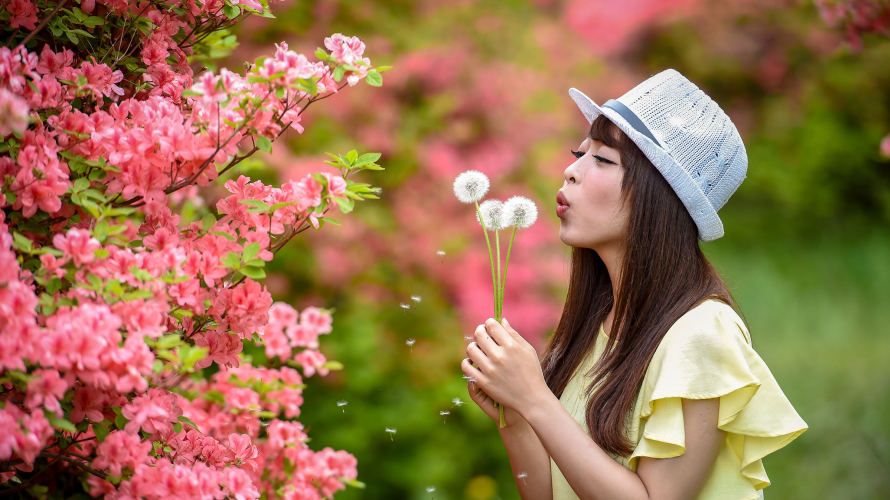 도쿄에서 1시간! 나스 여행가서 꽃길 걷자~ 진달래꽃이 유명한 '야하타 고개(八幡崎)'