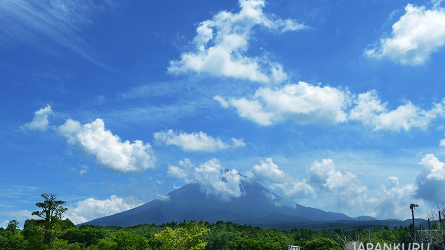 The Forest of Aokigahara Jukai: Mount Fuji