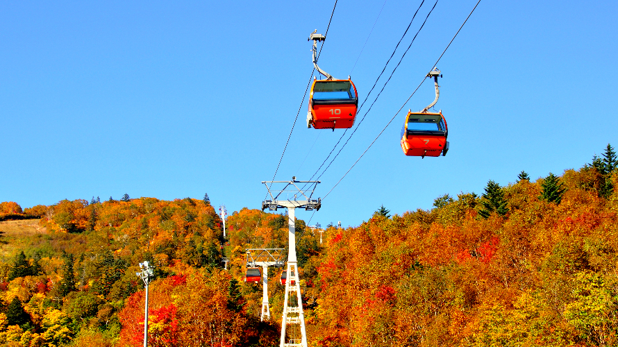 ☙ Fall Foliage 2019 ❧ Hokkaido - The Yellows and Reds at Jozankei