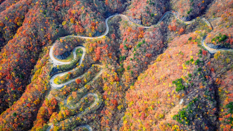 ☙ Fall Foliage 2019 ❧ Kanto - Snake Through Autumn at Irohazaka