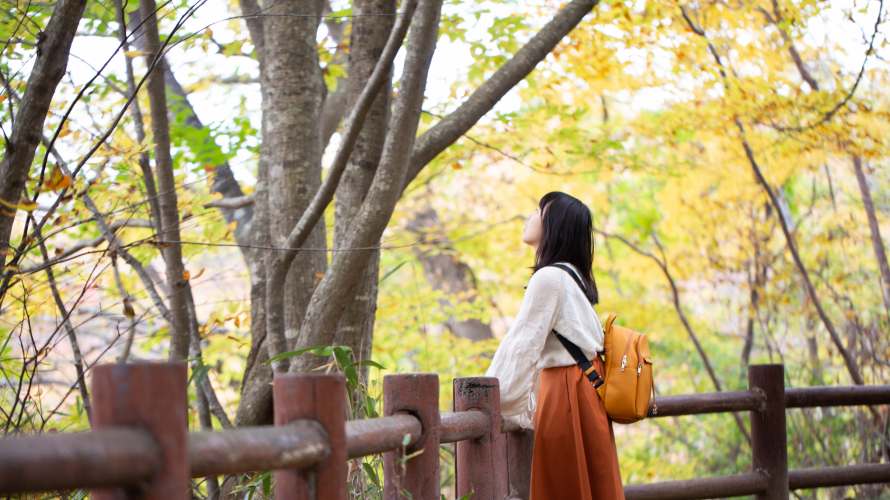 Take a Hot Spring Soak Among the Autumn Leaves at Akiu Great Falls