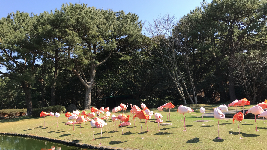 후쿠오카 가볼만한곳! 우미노나카미치 해변공원!