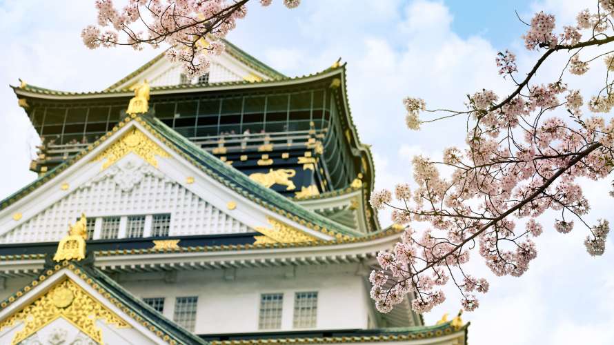 Japanese Cherry Blossoms at Osaka Castle Park