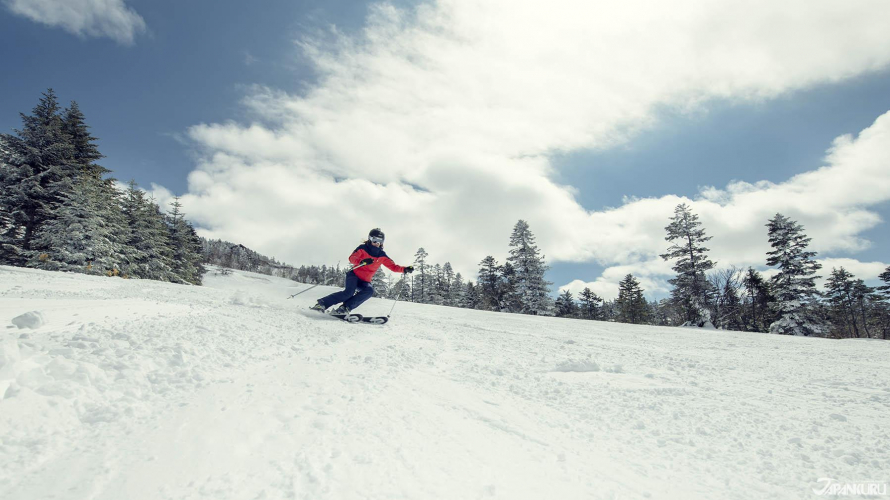 Niseko, Hokkaido: A Top-Tier Japanese Ski Resort & Hotspot for Backcountry