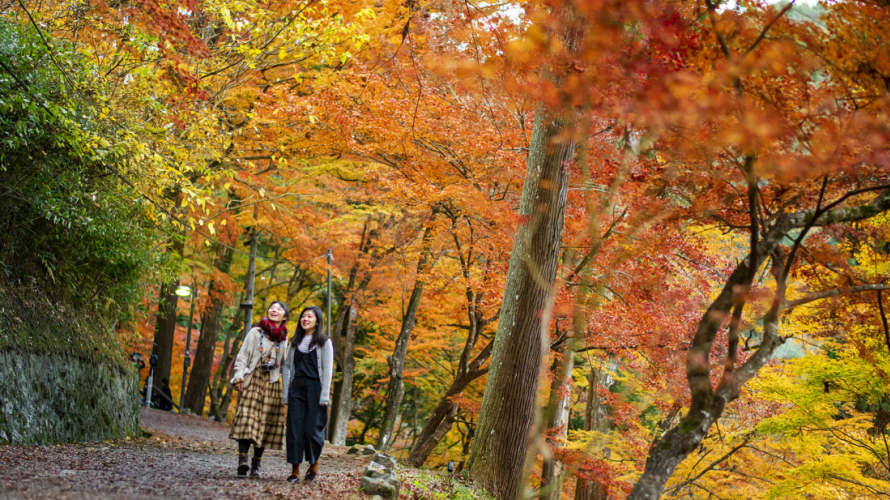 What Is “Koyo”? ・ Japan's Most Important Autumn Tradition