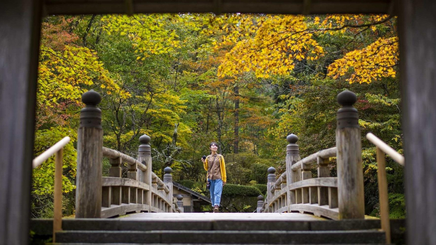 東京出發日本秋日旅遊推薦  栃木賞楓紅葉秘境加經典景點8區盤點