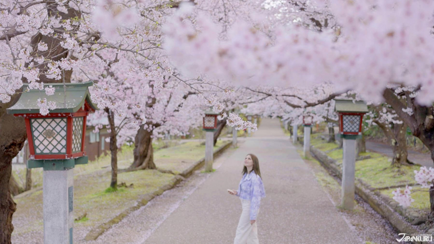 Un voyage en train JR EAST pour Tsubame-Sanjo ④: Cerisiers en fleur et autres paysages...