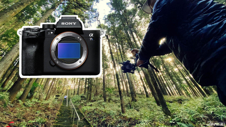 sony의 a7s3를 사용하면서 정말 좋았던점 5가지