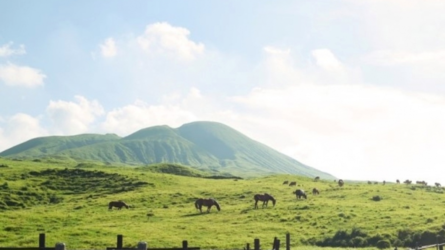 阿蘇山九州地質公園春夏篇  活火山上自駕兜風賞青草原