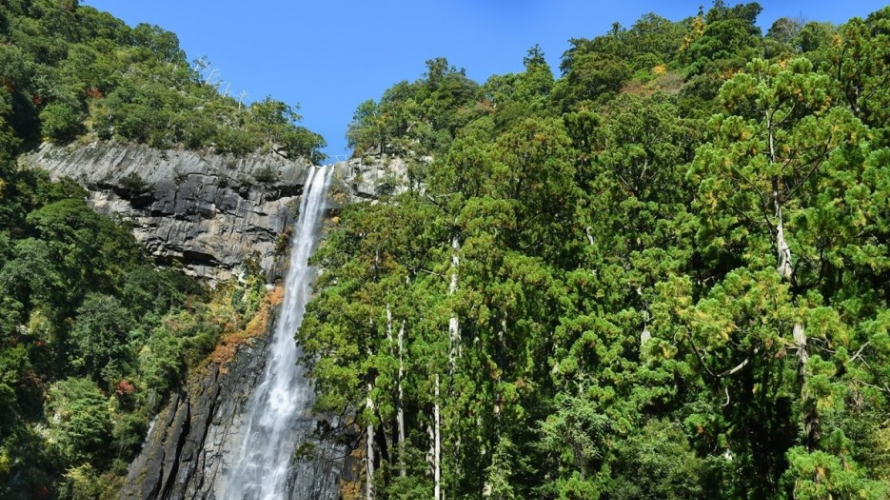 The 3 Great Waterfalls of Japan ・ Find Rushing River Water in Japan's Great Outdoors
