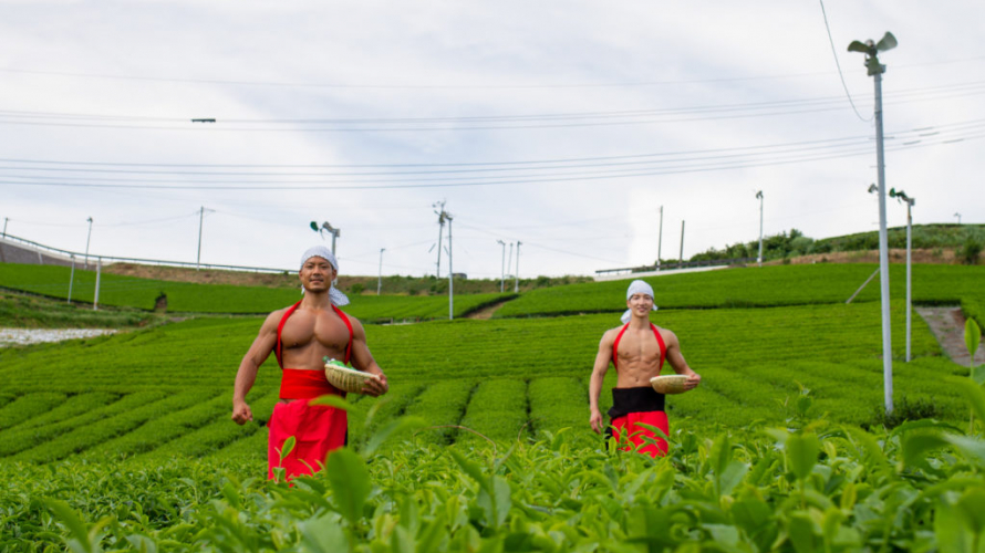 Muscular Japanese Men Pick Tea and Frolic in Tea Fields, All Available as Free Stock...