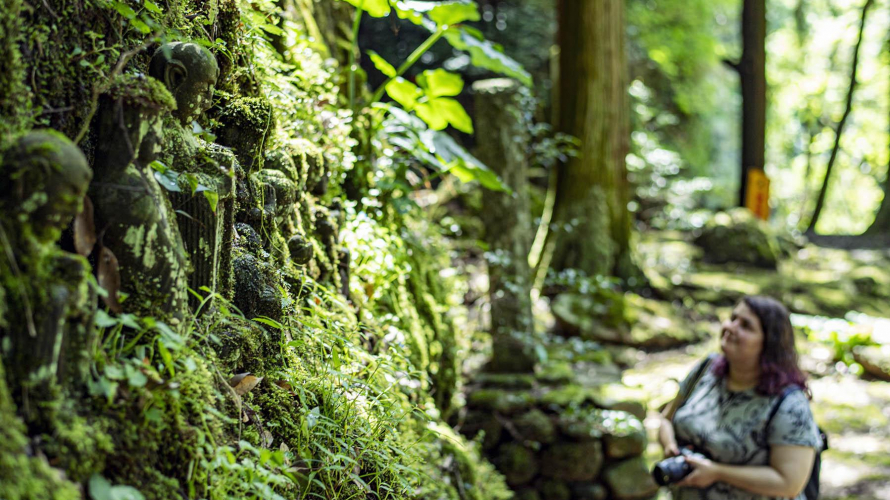 Secrets of San'in | Hike Mossy Green Trails and Discover Spiritual Enclaves in Tachikue...