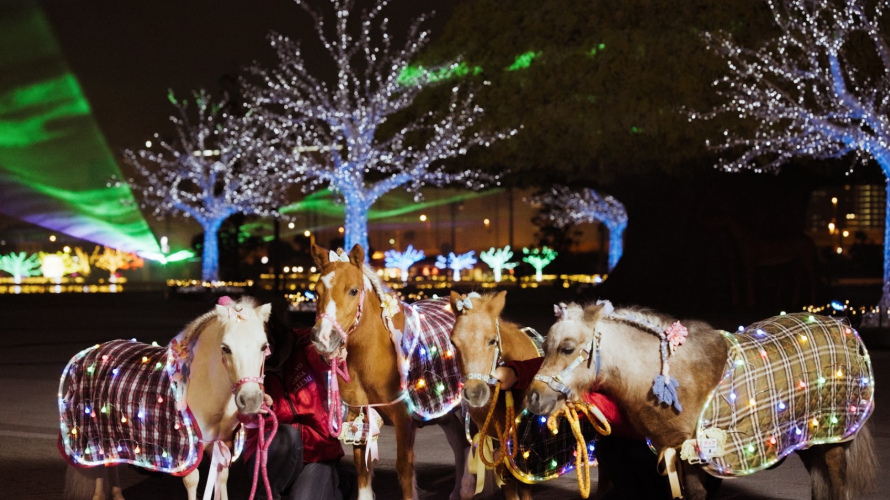 2021-2022東京冬季點燈：大井競馬場TOKYO MEGA Illumination 馬、光與影共演的遊樂園