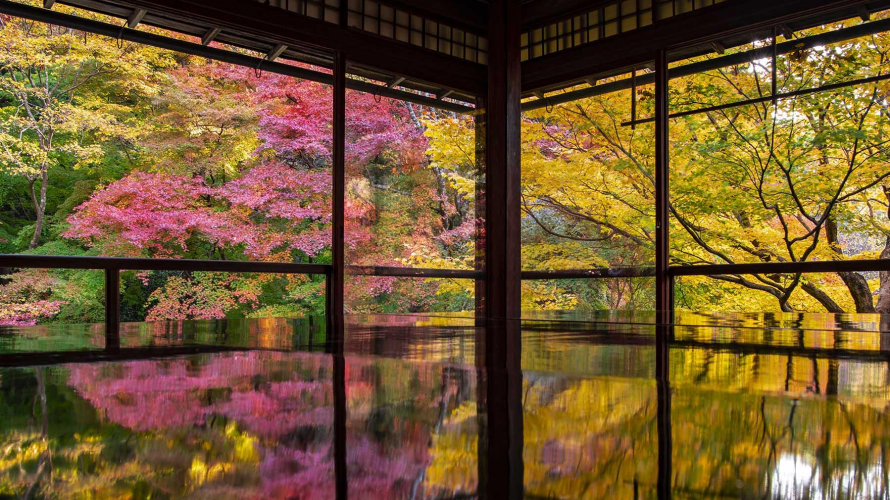 วัดรุริโคอิน จุดชมใบไม้เปลี่ยนสีเลื่องชื่อที่เกียวโต มหัศจรรย์แห่งสวนญี่ปุ่นและเงาสะท้อน